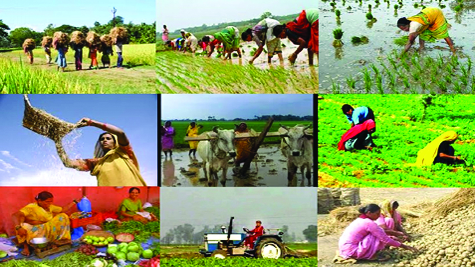 Sadhana Weekly - Gujarati Magazine - કૃષિ ક્ષેત્રના વિકાસ માટે દશેય  દિશાઓમાંથી સારા વિચારો પ્રાપ્ત કરીએ
