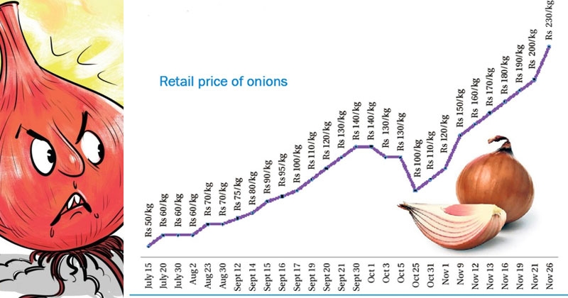 onion issue_1  