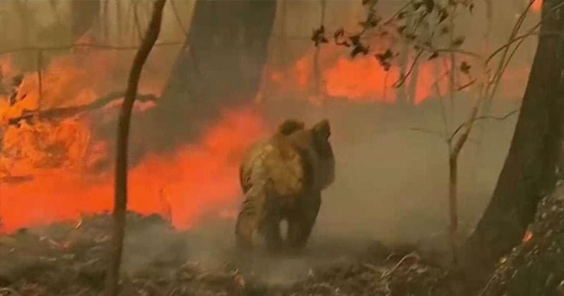 Australia fires_1 &n