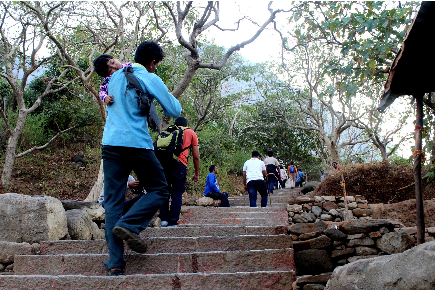 girnar_1  H x W