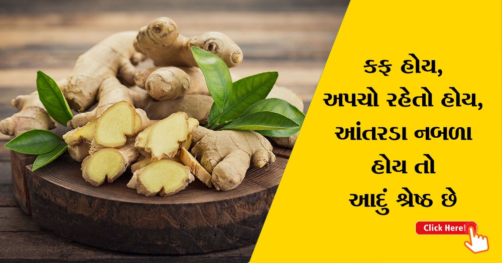 ginger benefits in gujarati Sadhana Weekly Gujarati Magazine