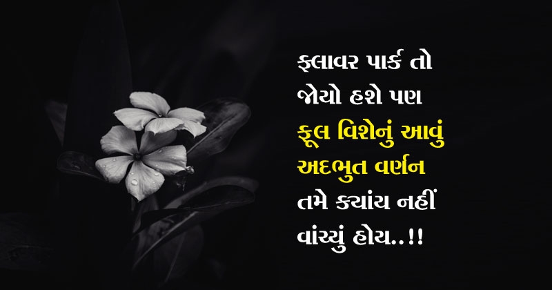 Essay on Flower in gujarati