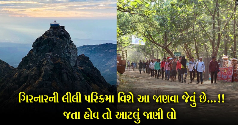 Girnar Lili Parikrama