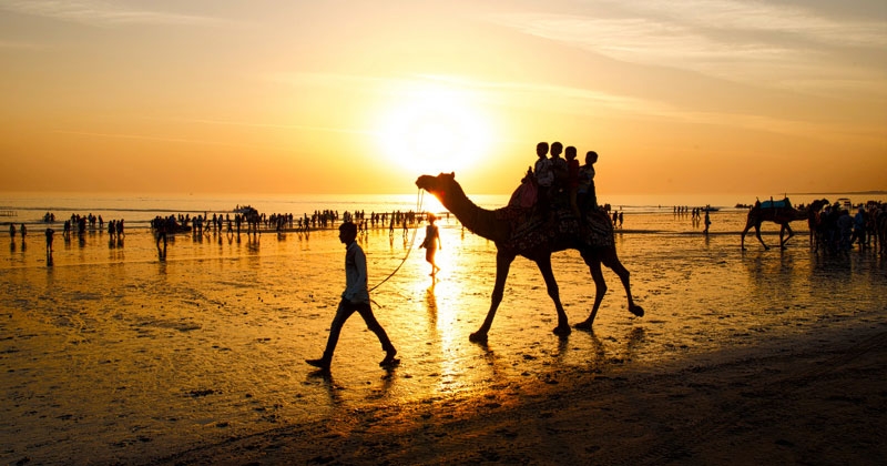 great rann of kutch in gujarati