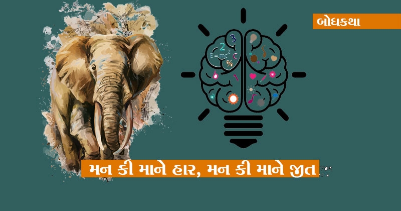 essay of elephant in gujarati