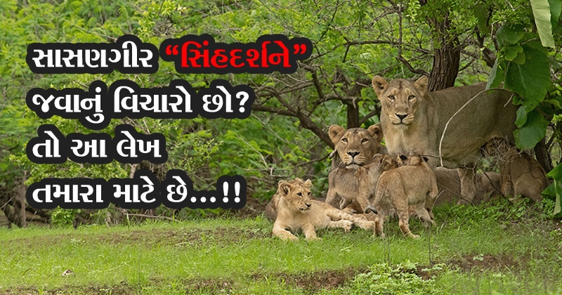 sasan gir 