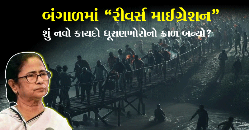 bengals-reverse-migration-is-the-new-law-a-death-knell-for-infiltrators